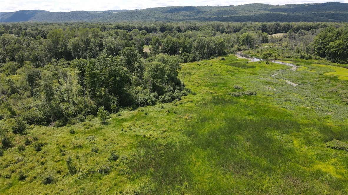 0 Myers Road Savona, NY 14879 - Photo 8 of 14