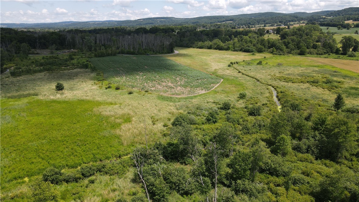 0 Myers Road Savona, NY 14879 - Photo 9 of 14