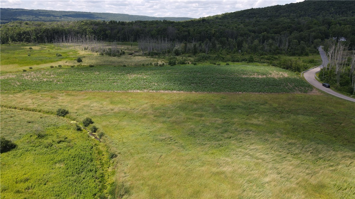 0 Myers Road Savona, NY 14879 - Photo 10 of 14