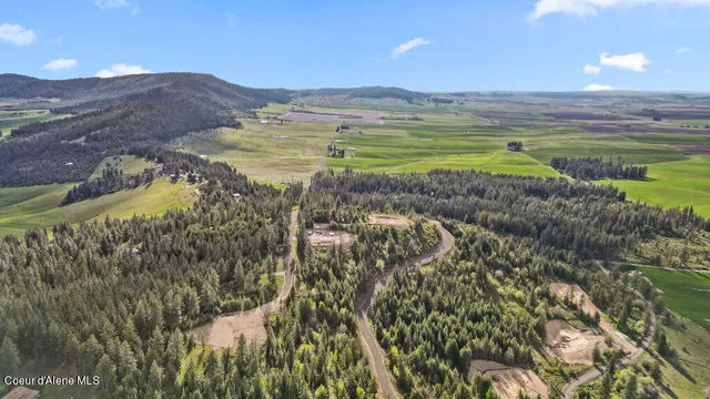 $215,000 | Lot 12 Lone Moose Drive, Plummer, ID 83851