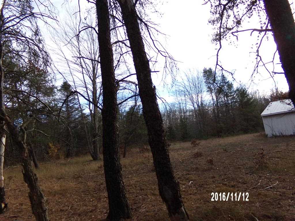 9671 West 24 Road Mesick, MI 49668 - Photo 12 of 26 1825382-11.JPG
