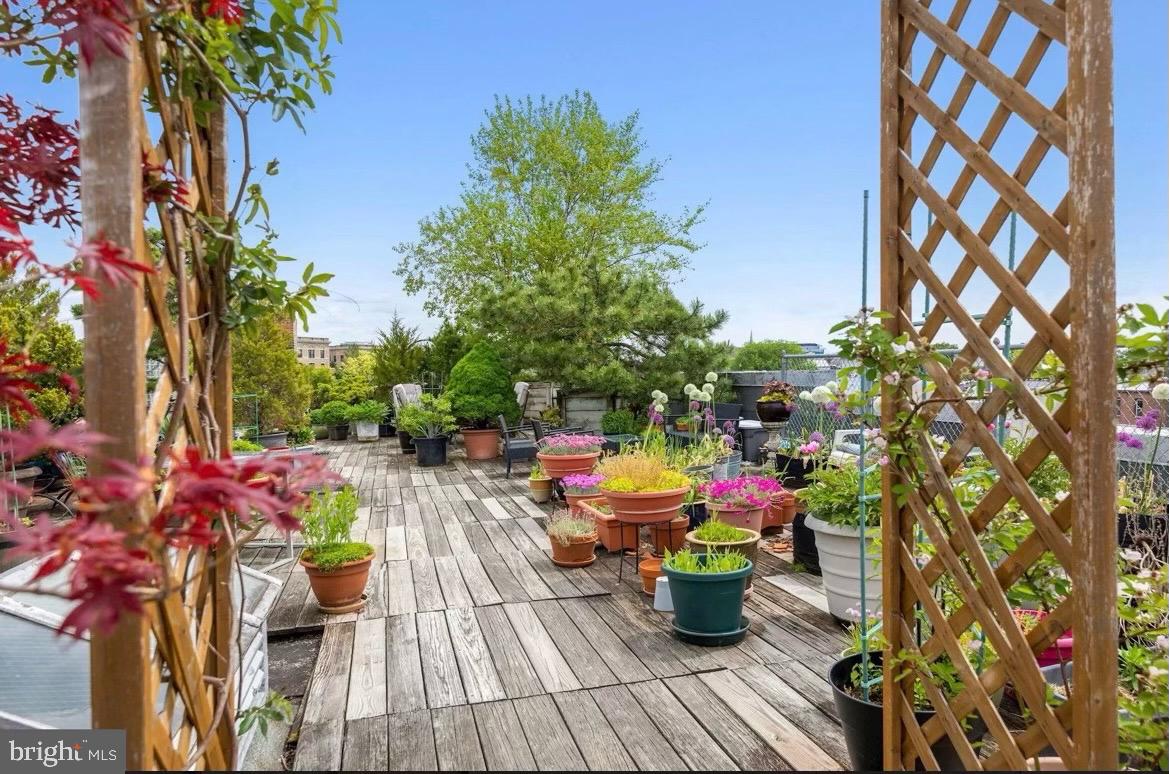 2707 Adams Mill Road Northwest, Unit 108 Washington, DC 20009 - Photo 14 of 27