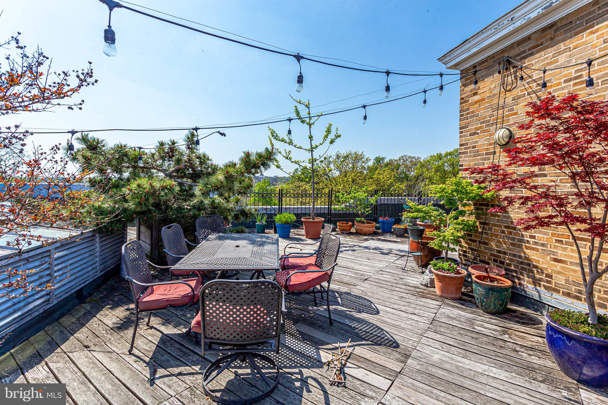2707 Adams Mill Road Northwest, Unit 108 Washington, DC 20009 - Photo 15 of 27