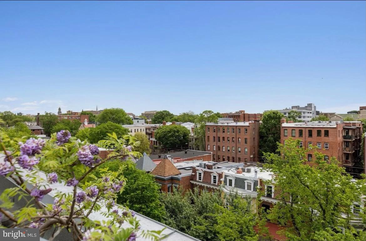 2707 Adams Mill Road Northwest, Unit 108 Washington, DC 20009 - Photo 17 of 27