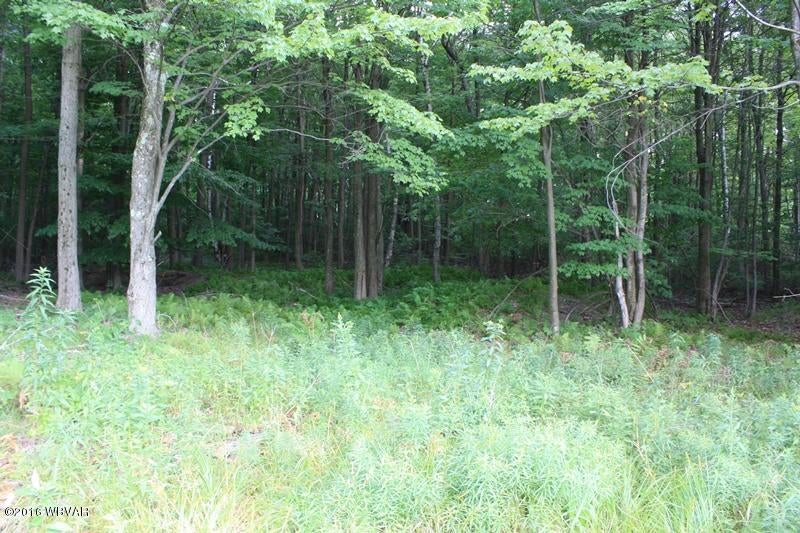 1746 Hardscrabble Road Mansfield, PA 16933 - Photo 42 of 42 12-Land (12)