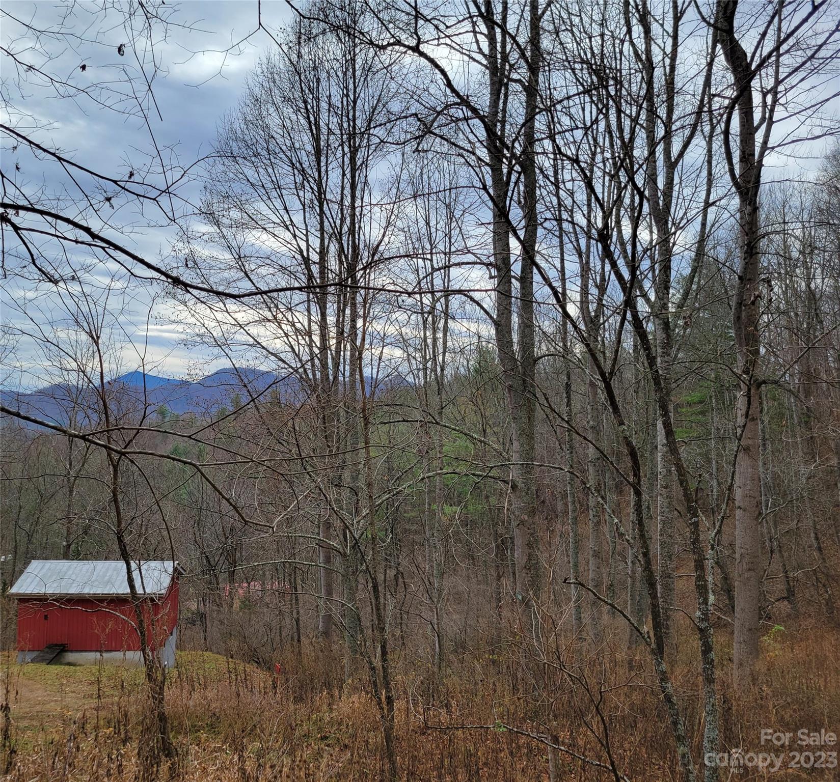 0 Parson Branch Road Green Mountain, NC 28740 - Photo 12 of 22 Gallery Image 12