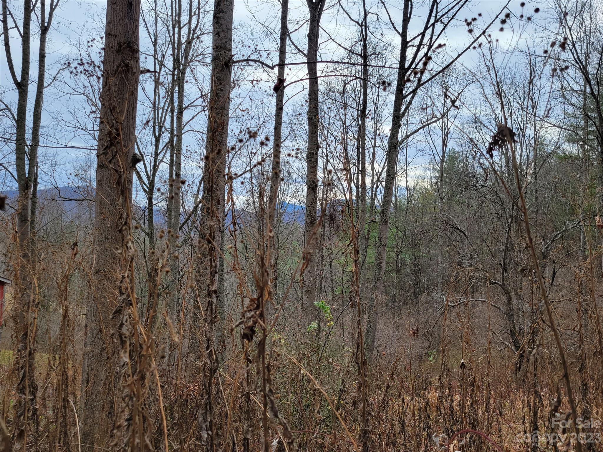 0 Parson Branch Road Green Mountain, NC 28740 - Photo 16 of 22 Gallery Image 16