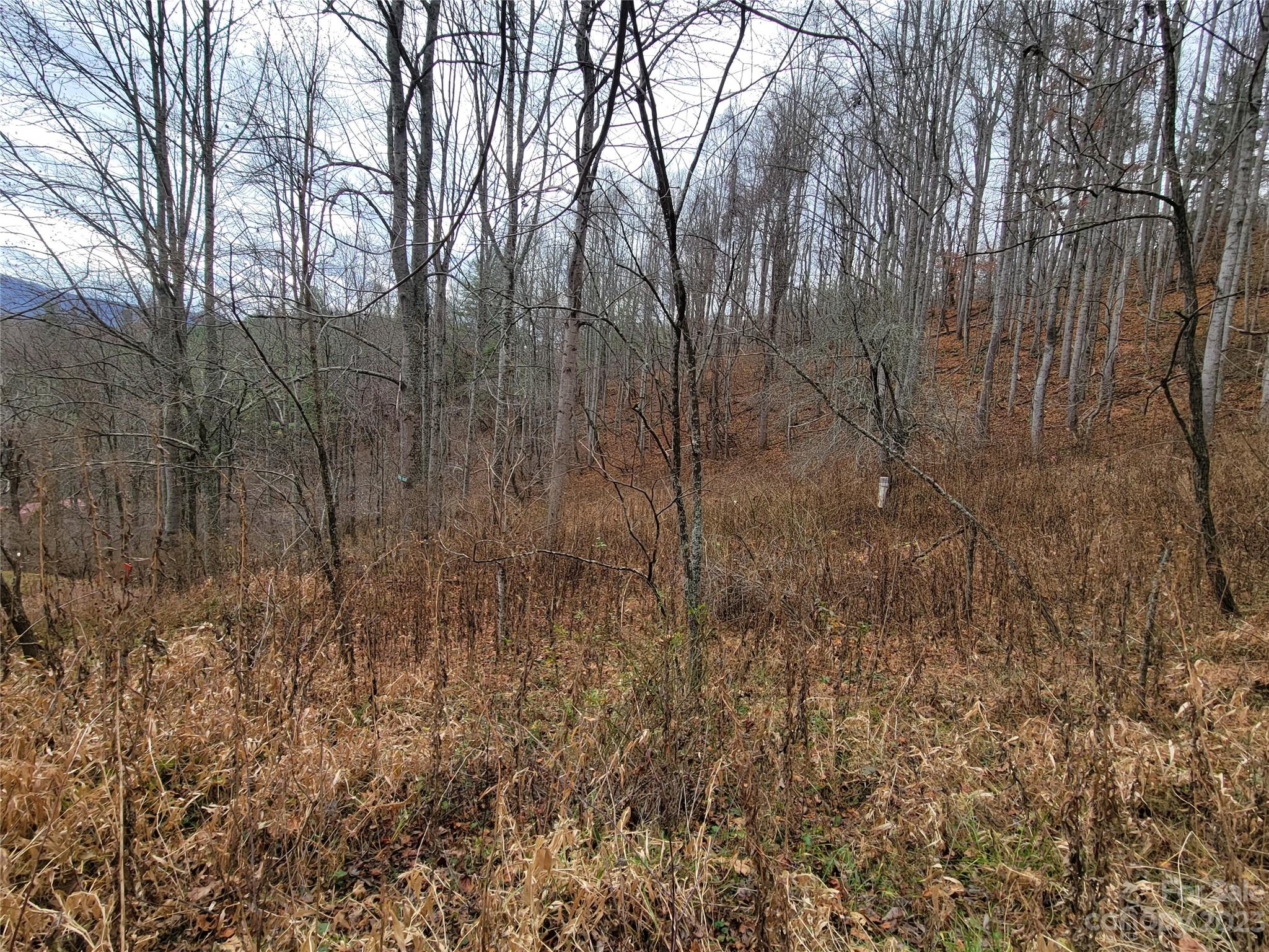 0 Parson Branch Road Green Mountain, NC 28740 - Photo 18 of 22 Gallery Image 18
