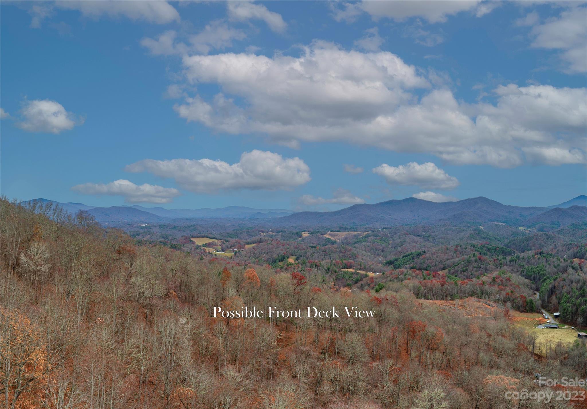 0 Parson Branch Road Green Mountain, NC 28740 - Photo 5 of 22 Gallery Image 5