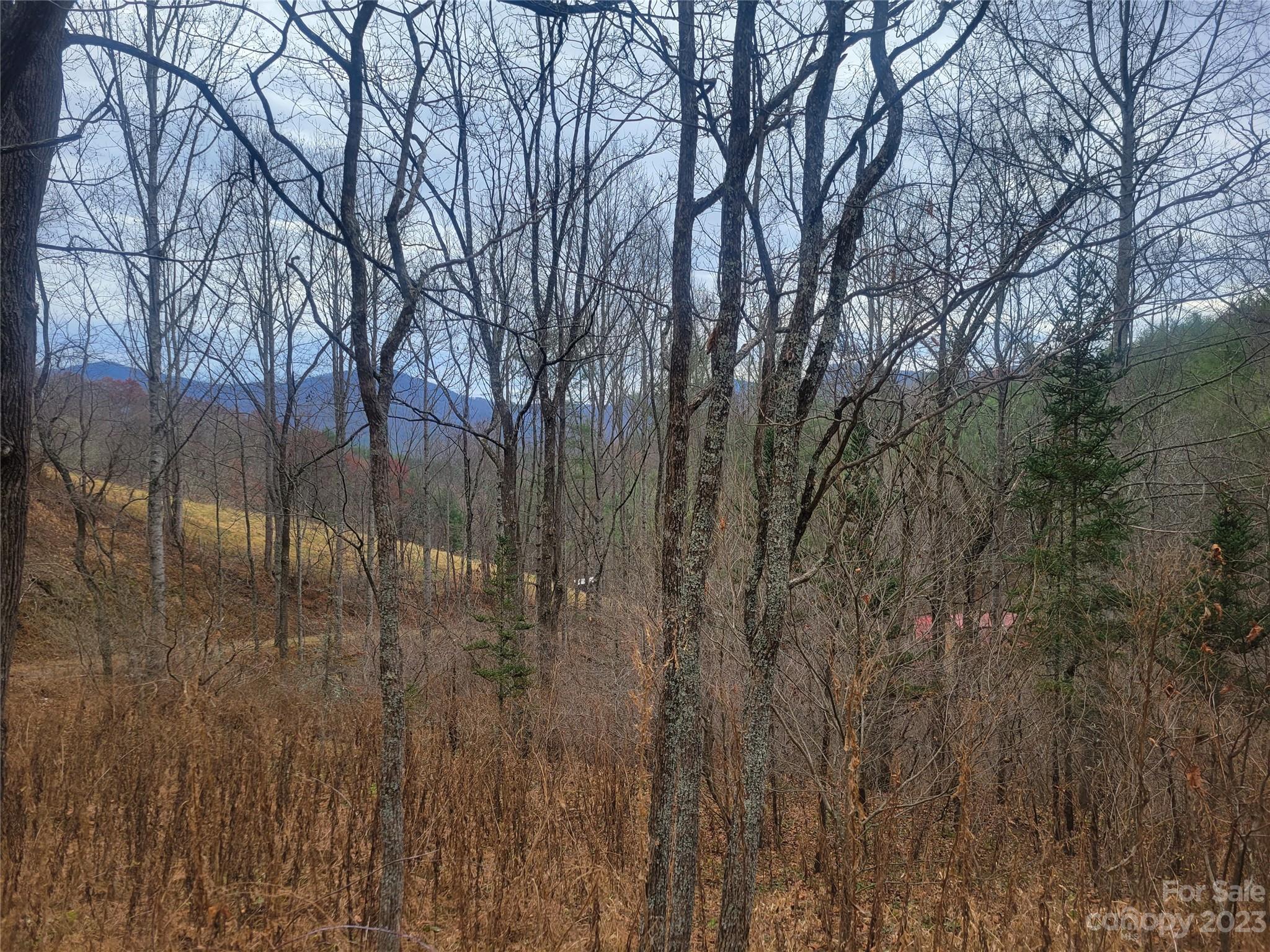 0 Parson Branch Road Green Mountain, NC 28740 - Photo 6 of 22 Gallery Image 6