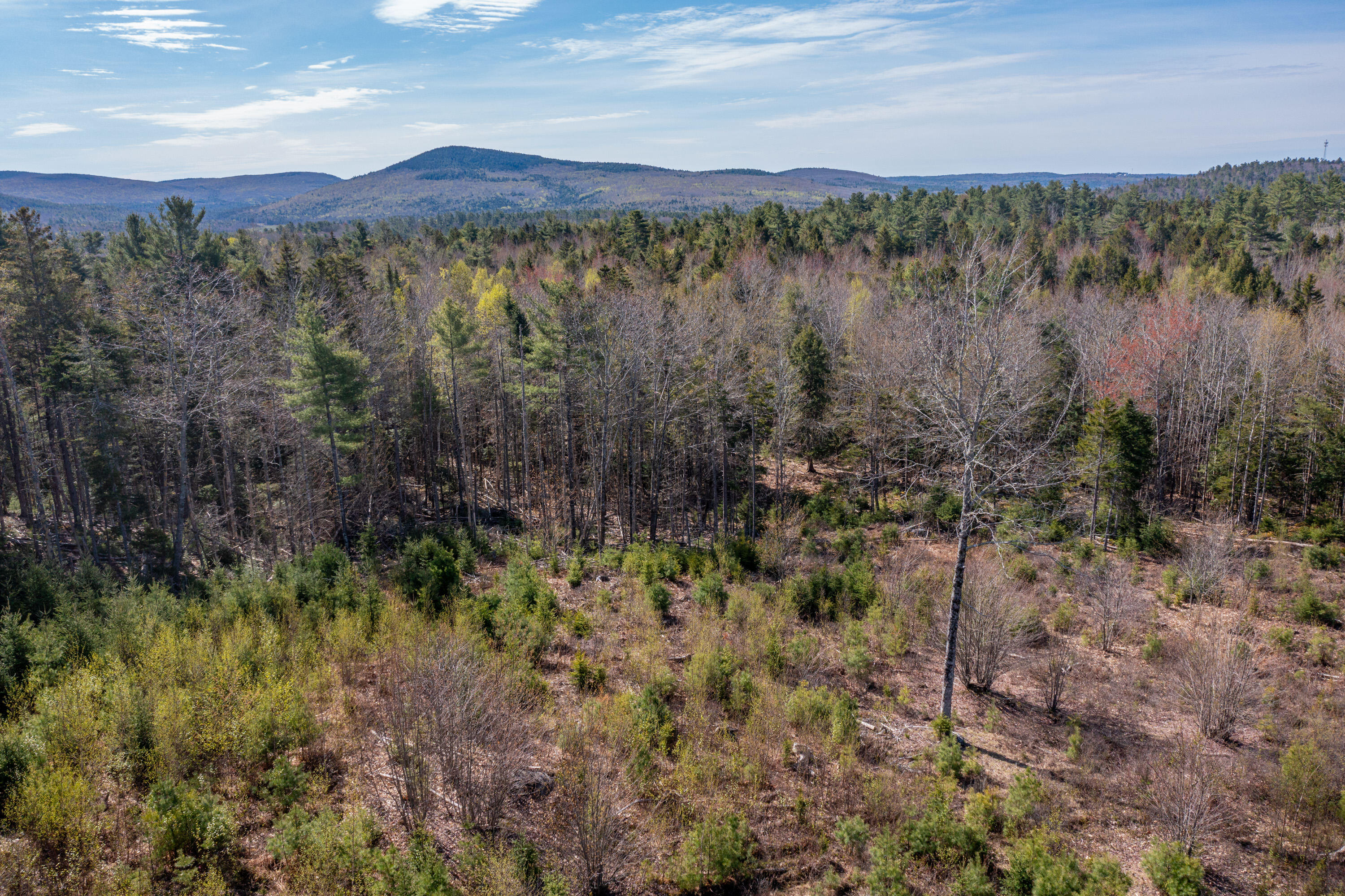 769 Bucksmills Road Bucksport, ME 04416 - Photo 11 of 12 2107