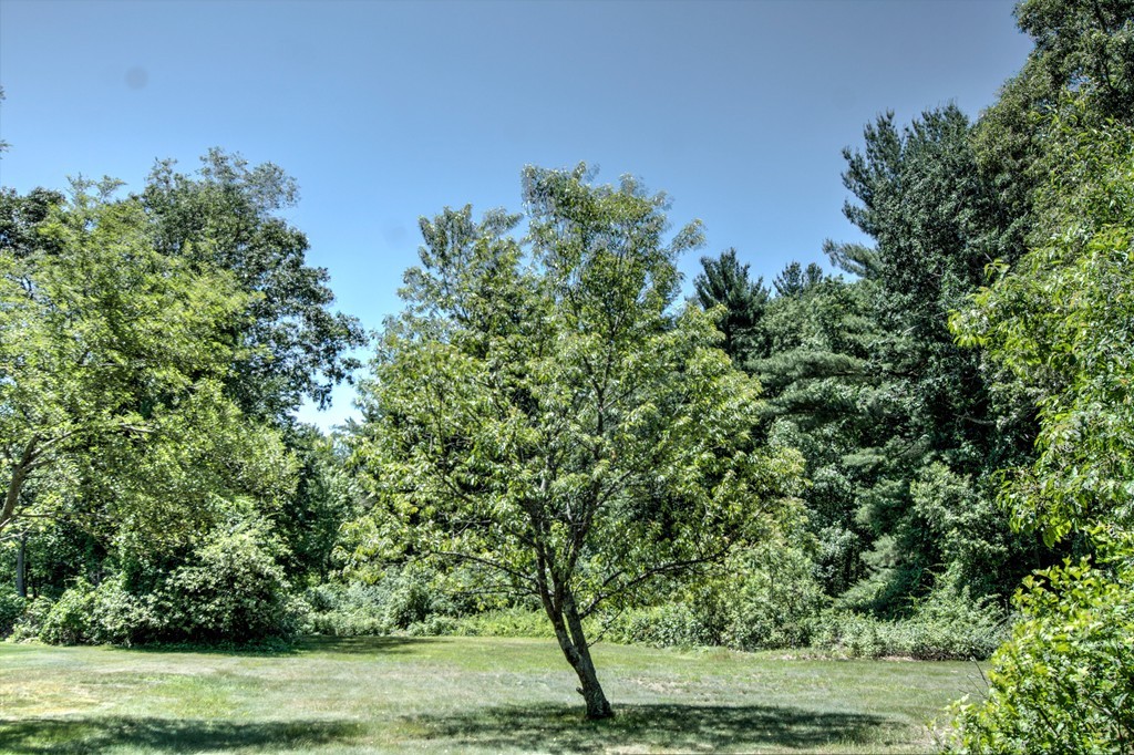 89 Turnpike Road Chelmsford, MA 01824 - Photo 3 of 24 Gallery Image 3