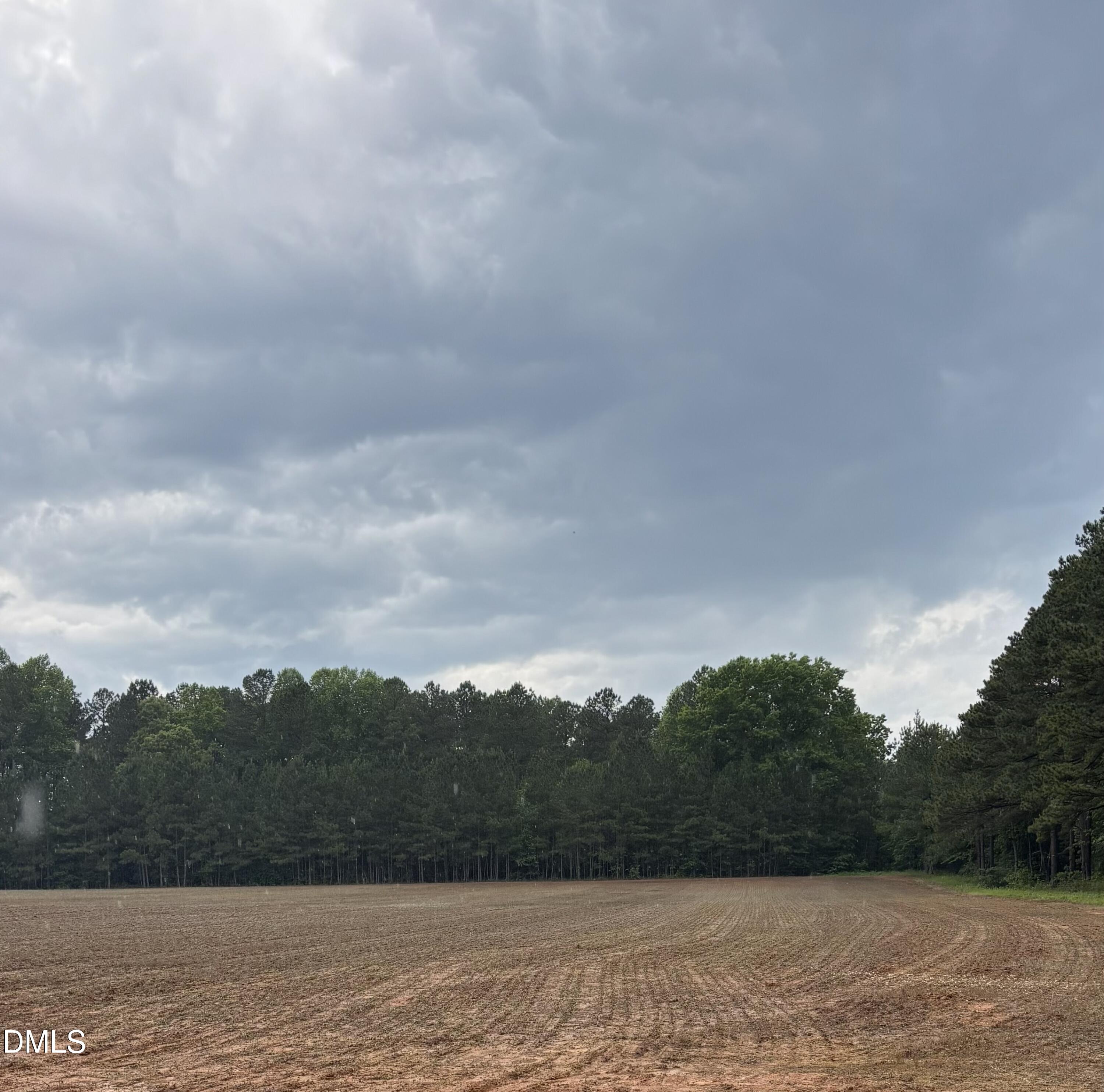 1000 Club Pond Road Henderson, NC 27537 - Photo 5 of 6 a view of a dry yard