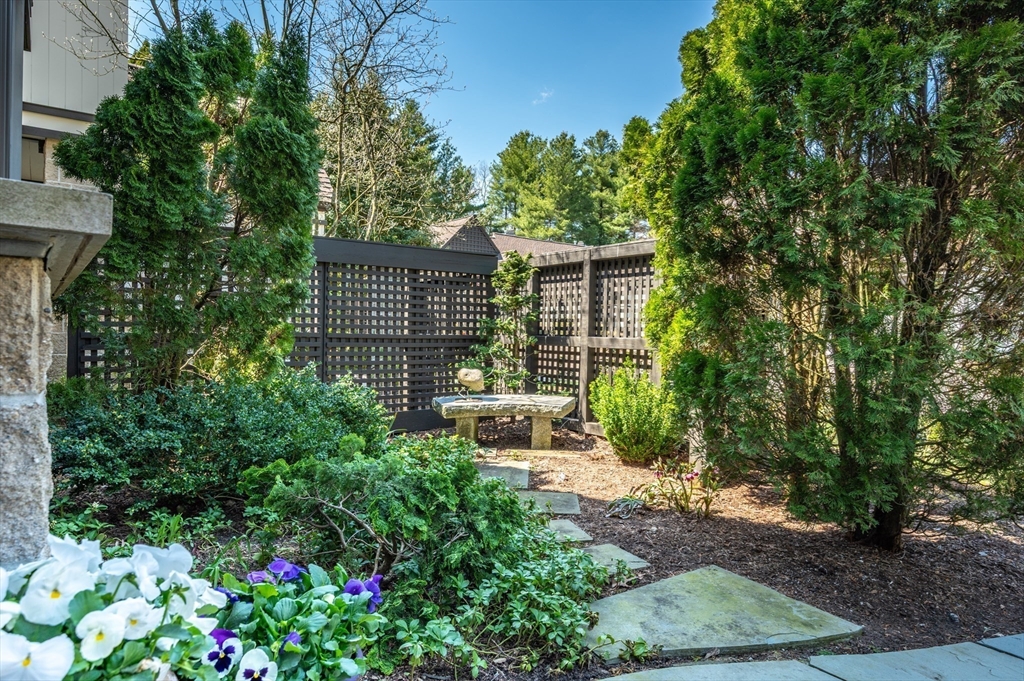 277 Nahanton Street, Unit 277 Newton, MA 02459 - Photo 31 of 39