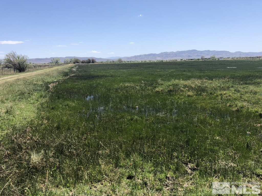 9170 Pasture Road Fallon, NV 89406 - Photo 23 of 39 Photo 23