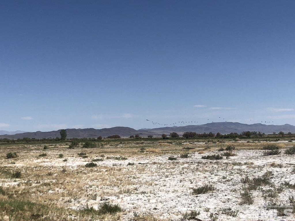 9170 Pasture Road Fallon, NV 89406 - Photo 27 of 39 Photo 28