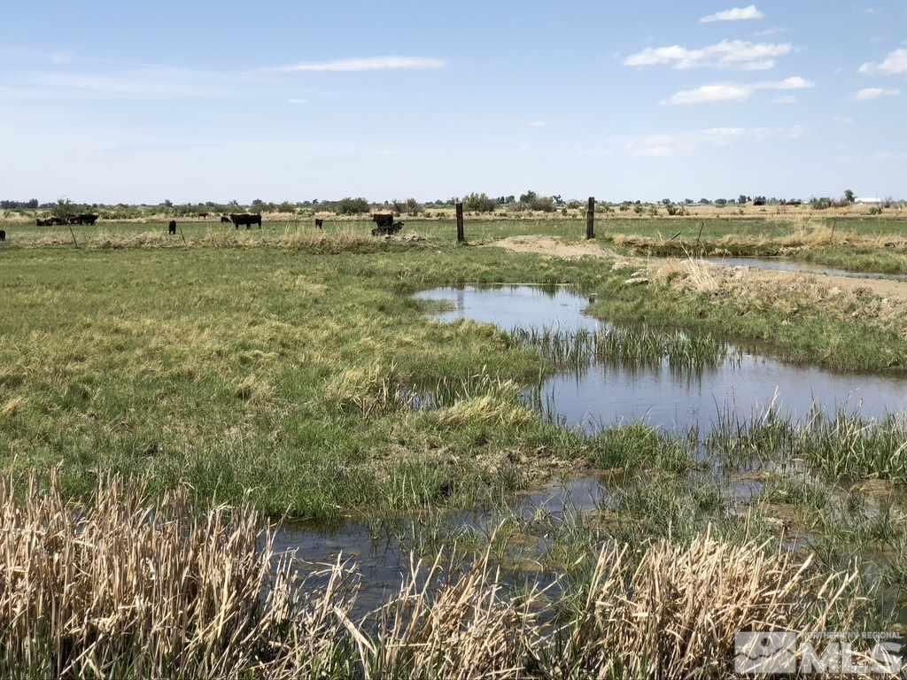 9170 Pasture Road Fallon, NV 89406 - Photo 30 of 39 Photo 31