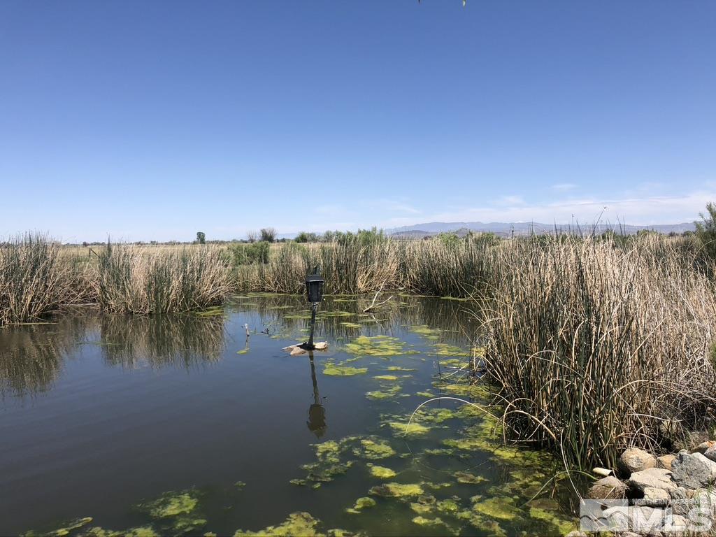 9170 Pasture Road Fallon, NV 89406 - Photo 3 of 39 Photo 3