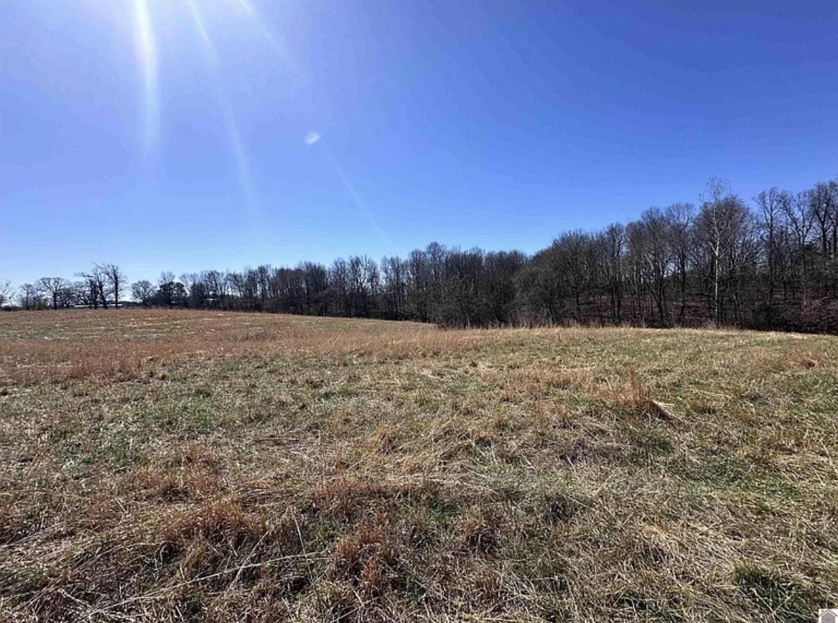 2224 Golo Road Mayfield, KY 42066 - Photo 8 of 15 IMG_4438