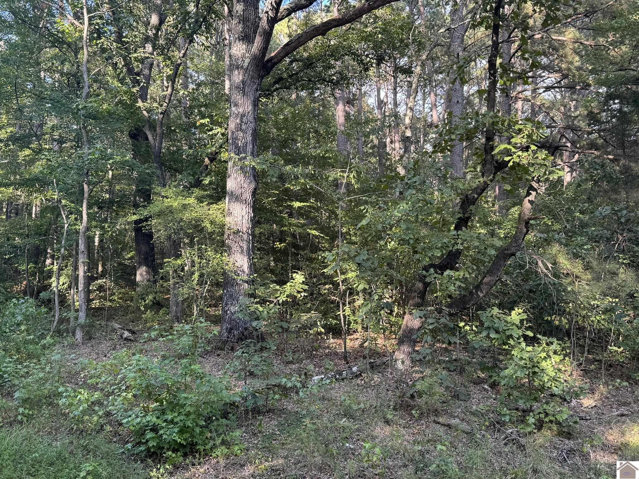 135-136 Mallard Road Murray, KY 42071 - Photo 7 of 14 Photo 7