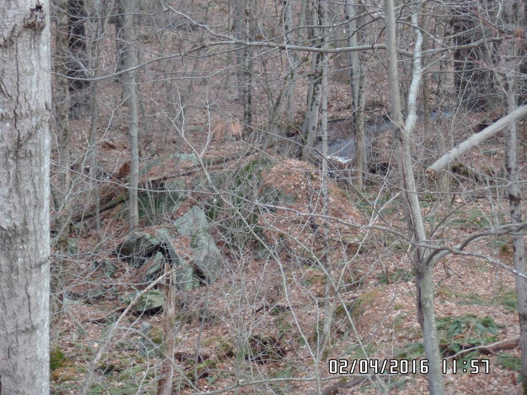 8 Winding Hollow Road Hudson, NH 03051 - Photo 25 of 27