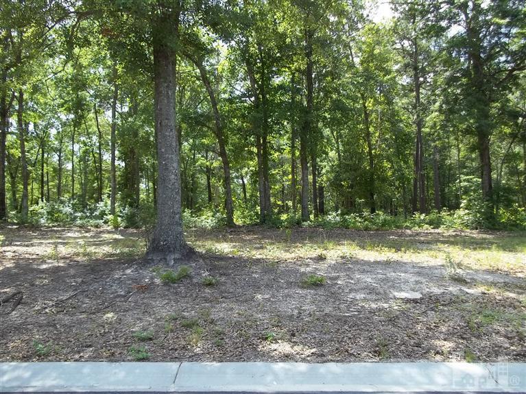 3832 Hallmark Road Northeast Leland, NC 28451 - Photo 1 of 7 Primary Photo