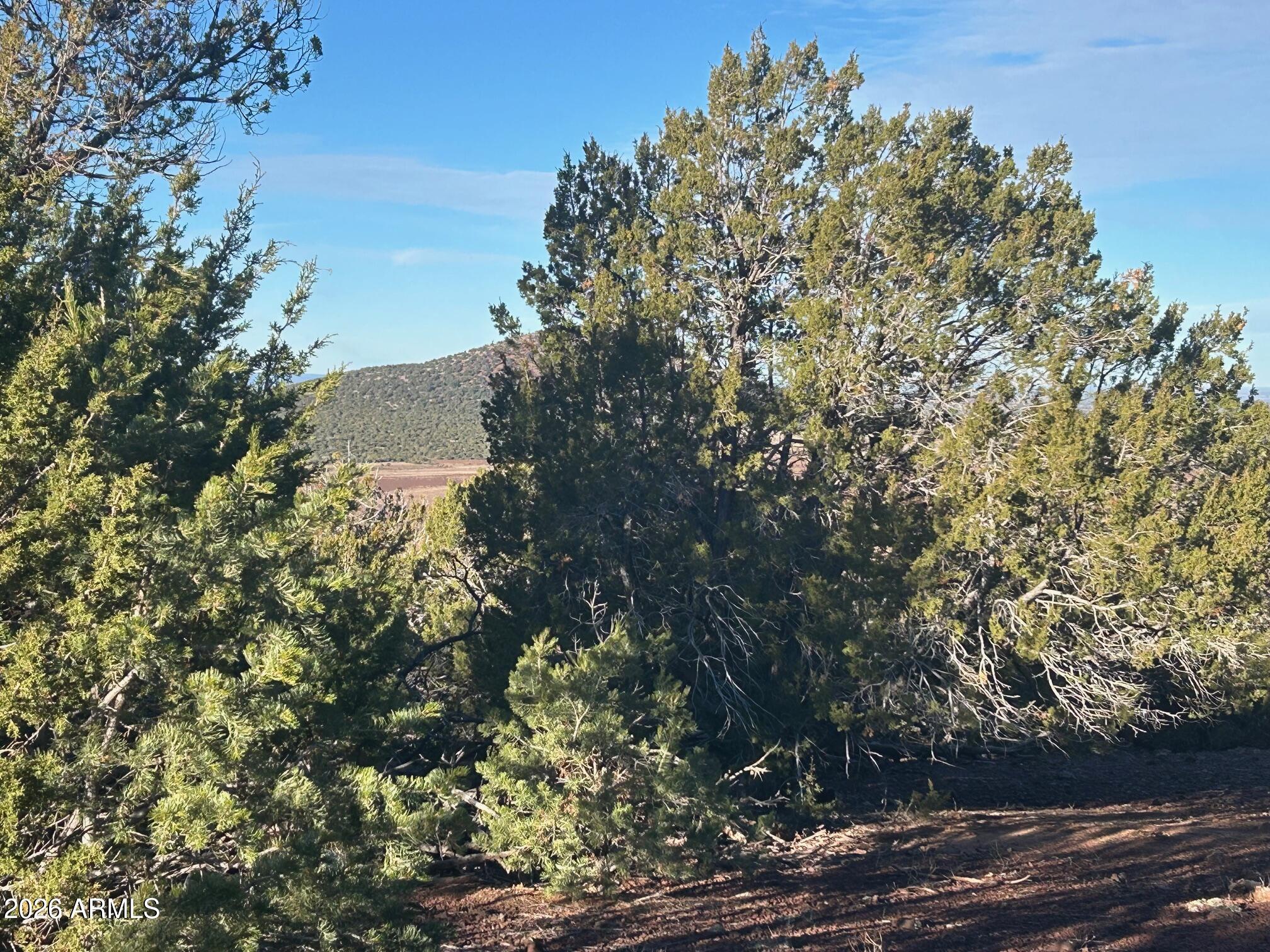 Lot 80 Ranch Road, Unit 80 Concho, AZ 85924 - Photo 5 of 13 IMG_4282