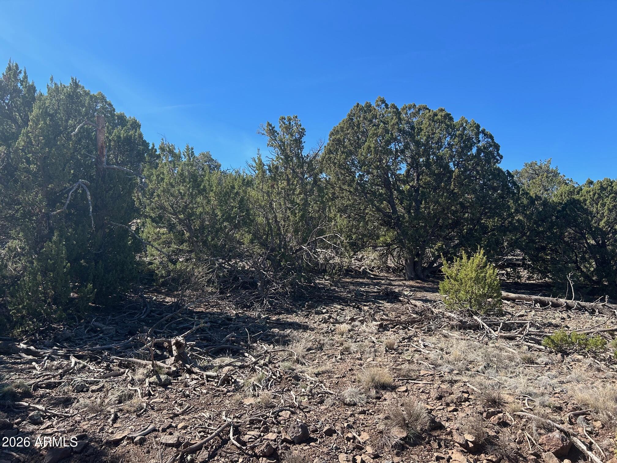 Lot 80 Ranch Road, Unit 80 Concho, AZ 85924 - Photo 7 of 13 IMG_4474