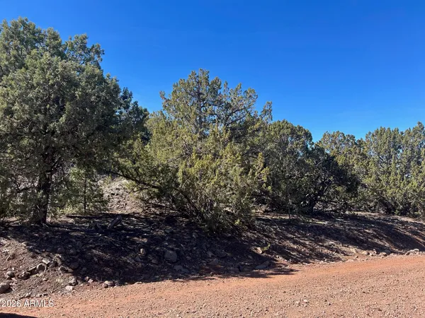 $52,000 | Lot 80 Ranch Road, Unit 80, Concho, AZ 85924
