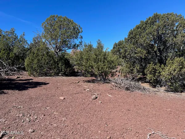 $52,000 | Lot 80 Ranch Road, Unit 80, Concho, AZ 85924