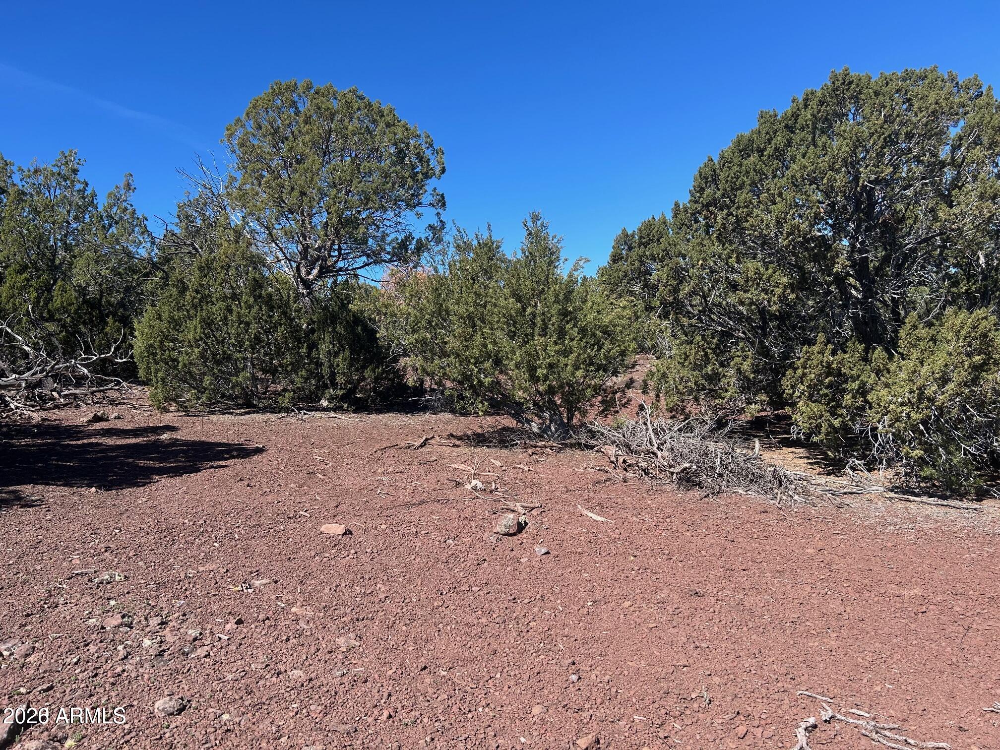 Lot 80 Ranch Road, Unit 80 Concho, AZ 85924 - Photo 9 of 13 IMG_4477