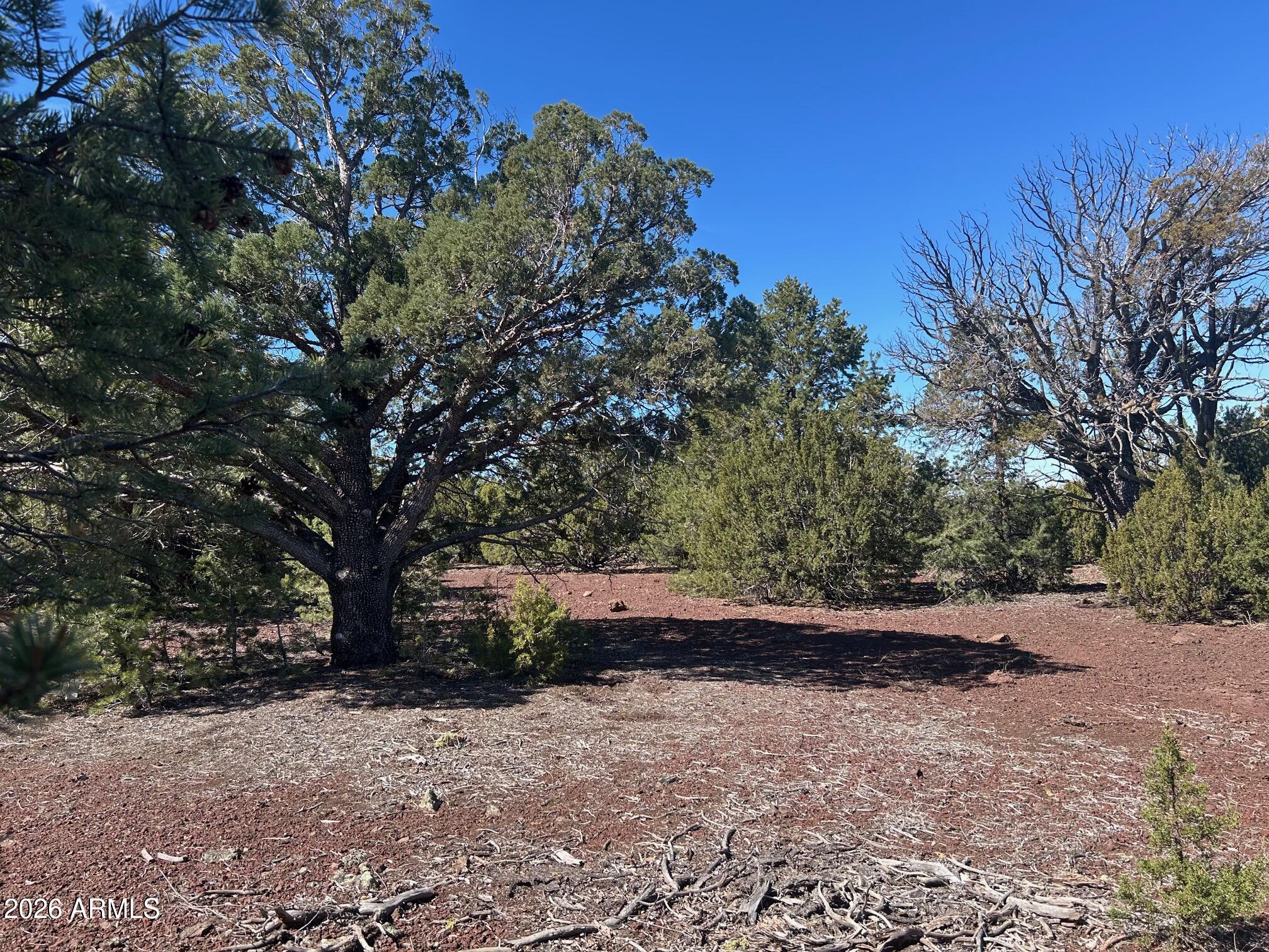 Lot 80 Ranch Road, Unit 80 Concho, AZ 85924 - Photo 10 of 13 IMG_4479