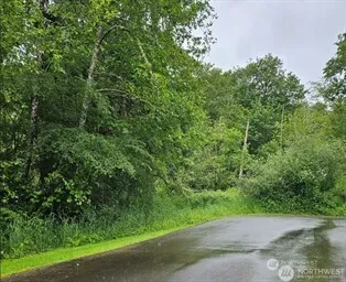 a view of a yard with a plants and trees