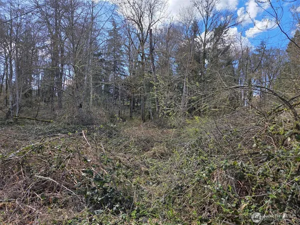 a view of a yard with a tree