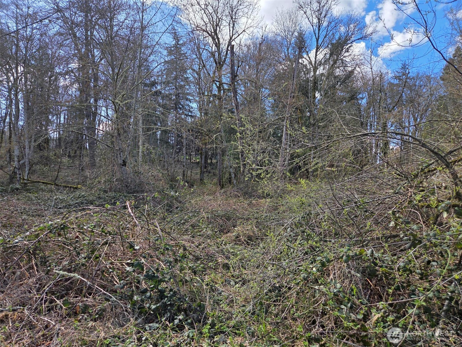 18599 Southeast 136th Street Renton, WA 98059 - Photo 2 of 4