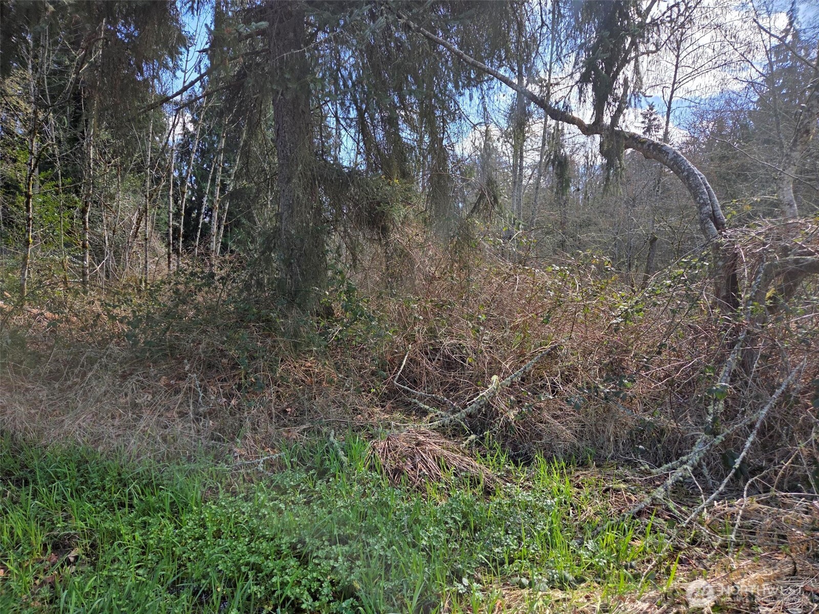 18599 Southeast 136th Street Renton, WA 98059 - Photo 4 of 4