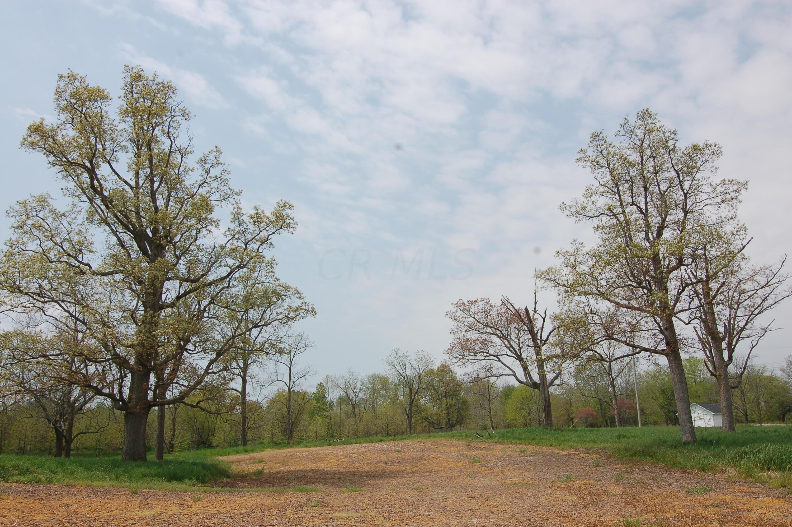 0 Rosedale-plain Rosedale-Plain City Road, Unit TRACT 1 Irwin, OH 43029 - Photo 5 of 28 Such a beautiful, peaceful setting!
