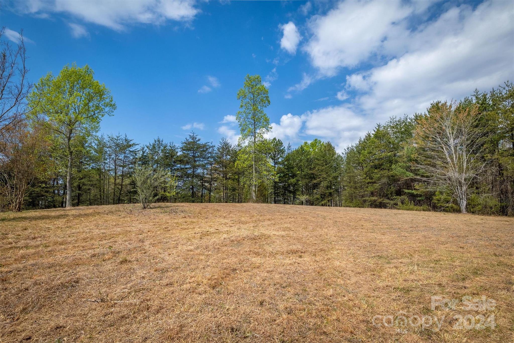 3970 Snowhill Church Road Morganton, NC 28655 - Photo 32 of 32 Gallery Image 32