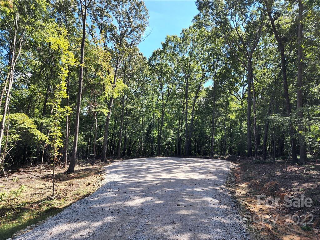 0 Laney Road Lancaster, SC 29720 - Photo 1 of 32 Gallery Image 1