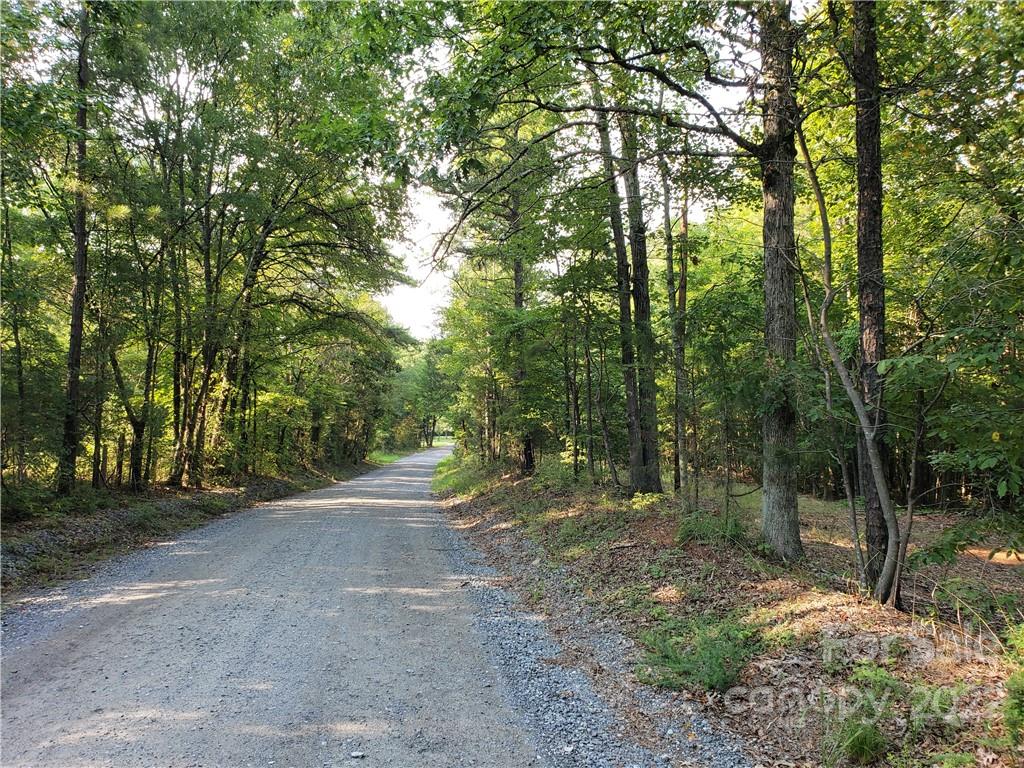0 Laney Road Lancaster, SC 29720 - Photo 17 of 32 Gallery Image 17