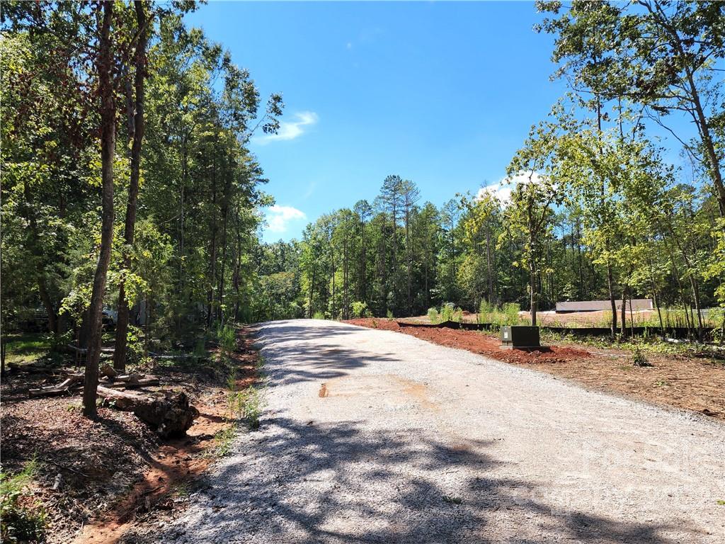 0 Laney Road Lancaster, SC 29720 - Photo 3 of 32 Gallery Image 3