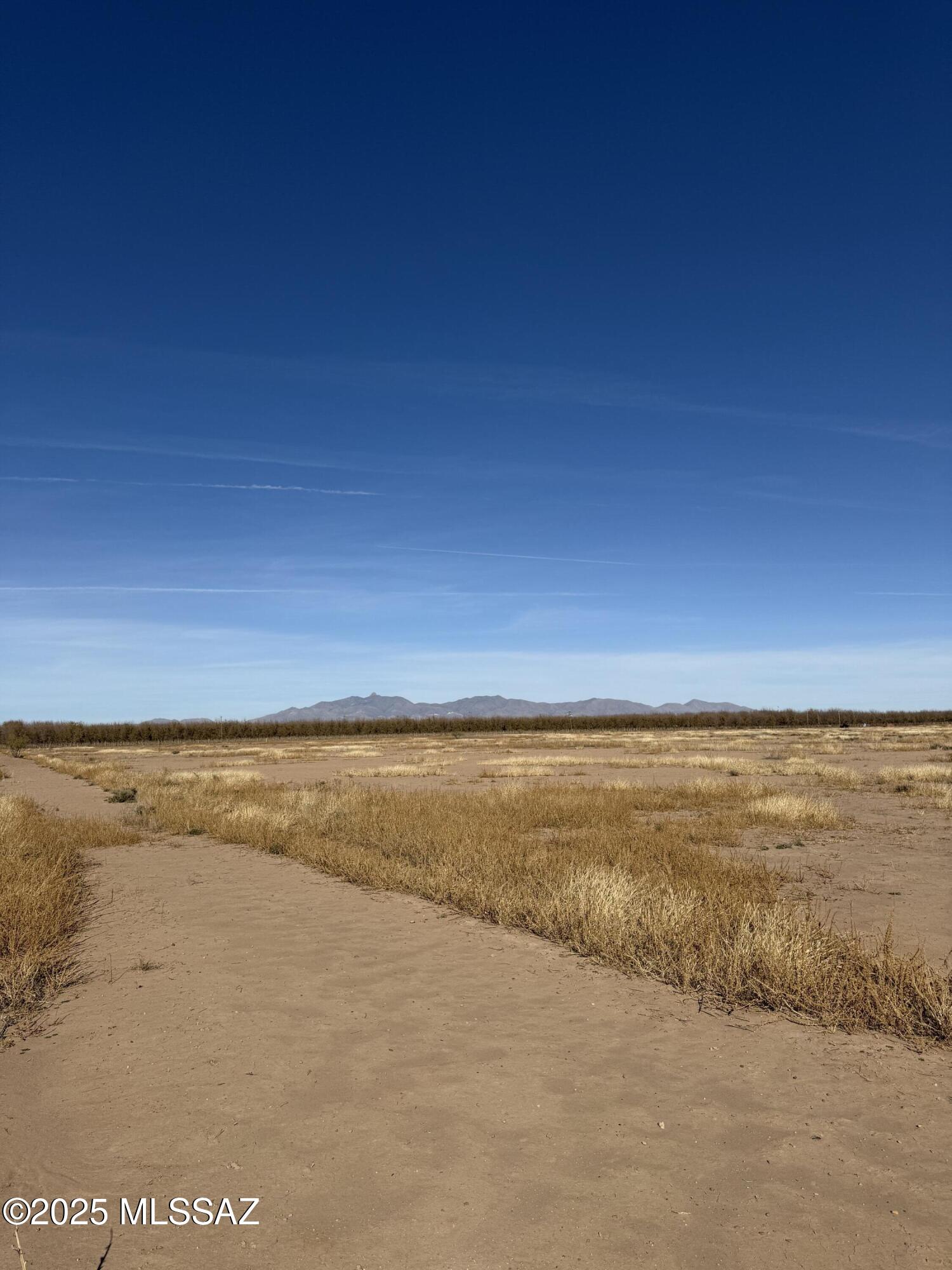 Tbd East Shelton Road Willcox, AZ 85643 - Photo 11 of 17