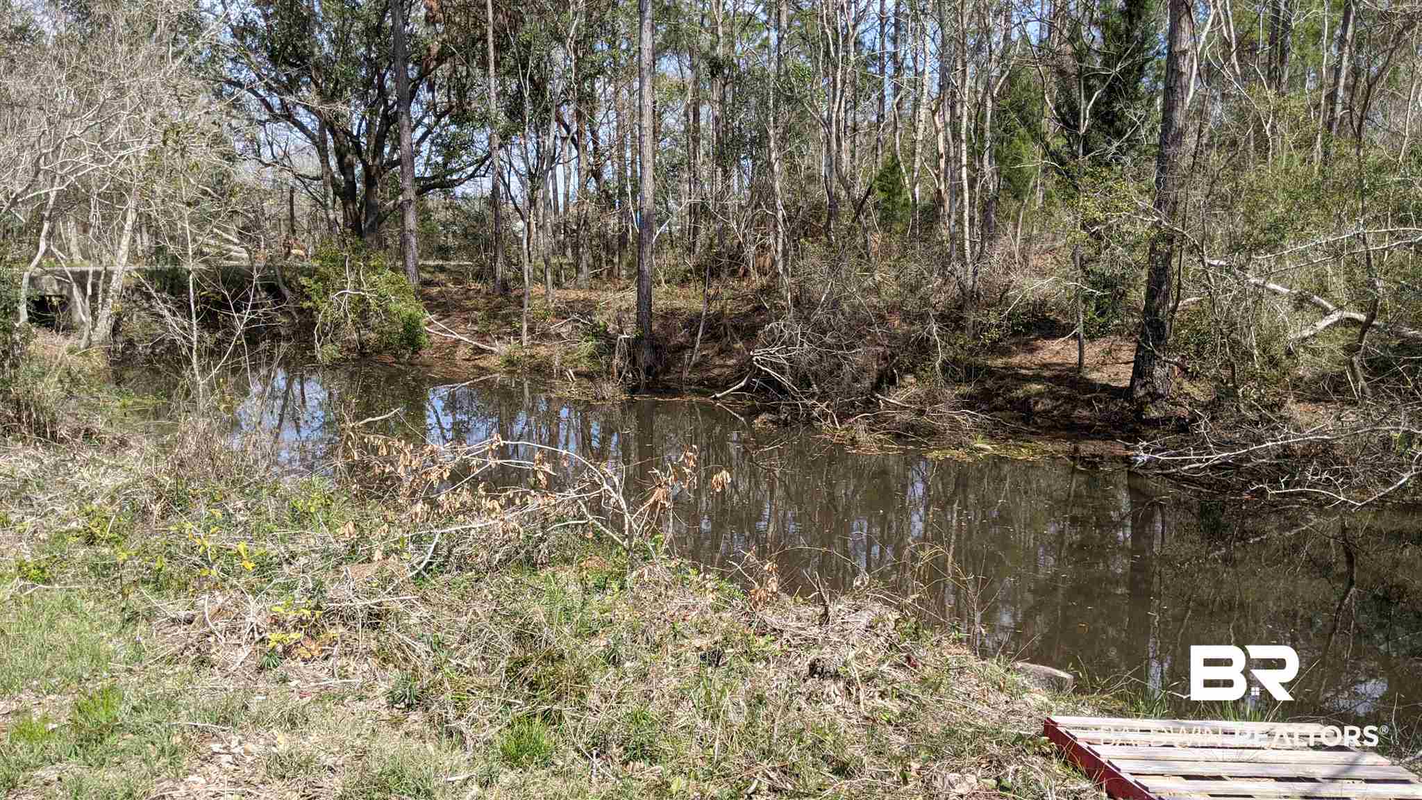 20512 Brinks Willis Road Foley, AL 36535 - Photo 4 of 34 Gallery Image 4