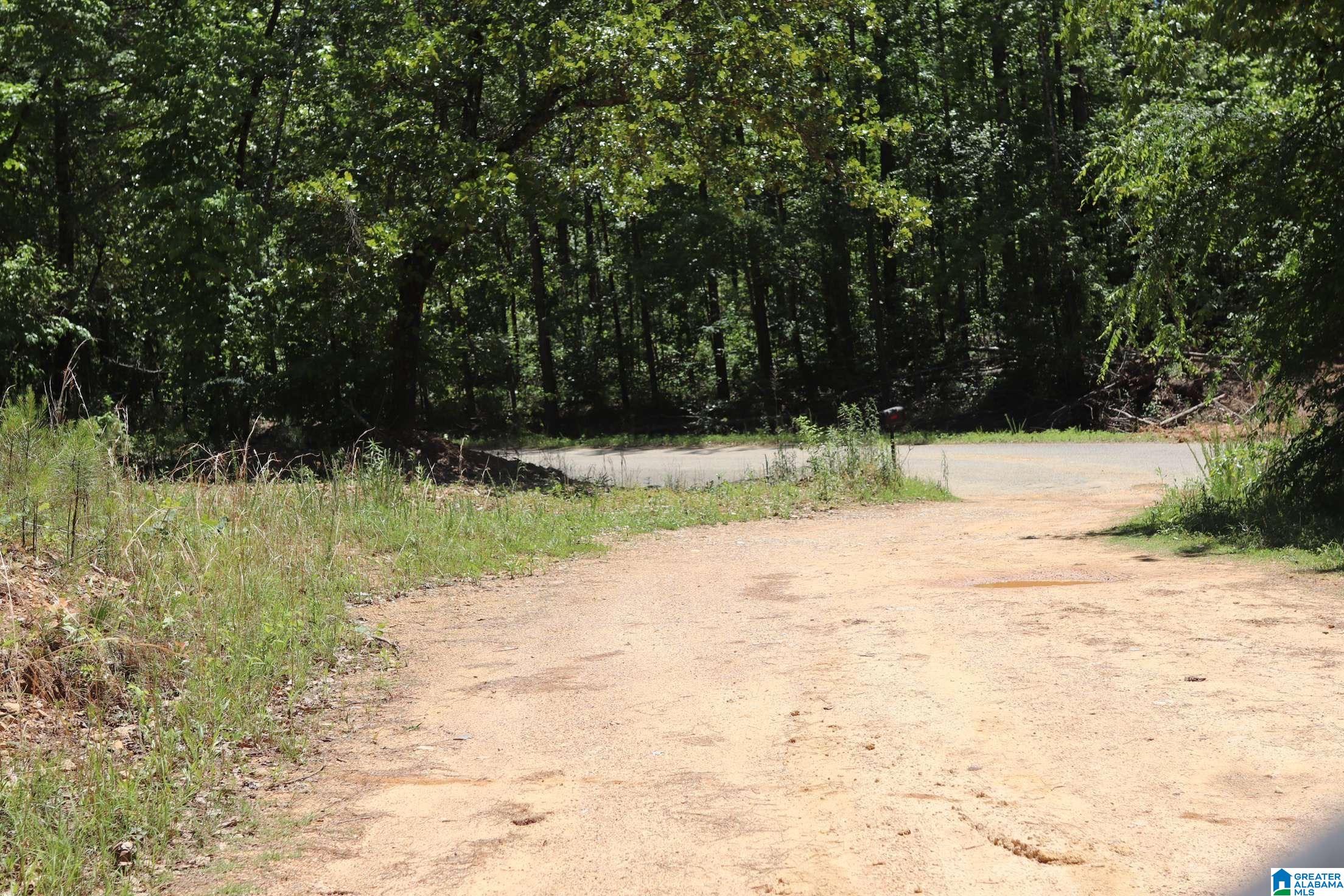 2930 Shocco Springs Road Talladega, AL 35160 - Photo 4 of 93