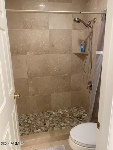 a bathroom with a shower and toilet