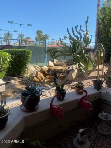 a view of a lake from a yard