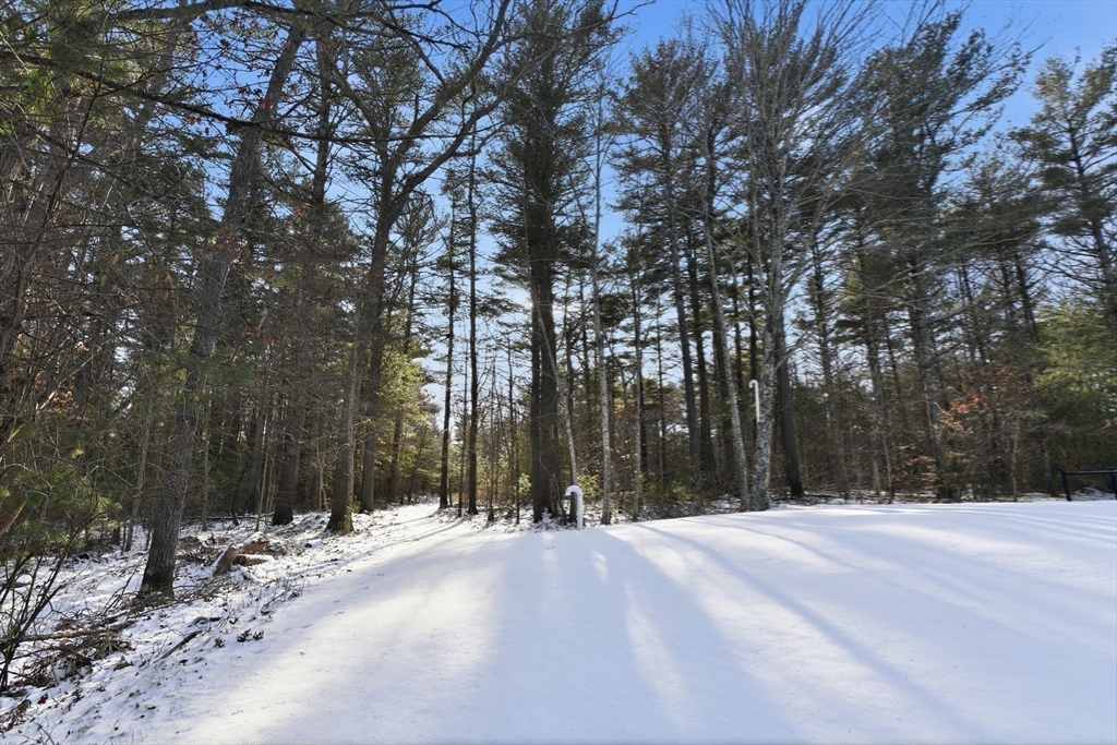 80 Walnut Street Middleboro, MA 02346 - Photo 20 of 34 a view of the space with trees