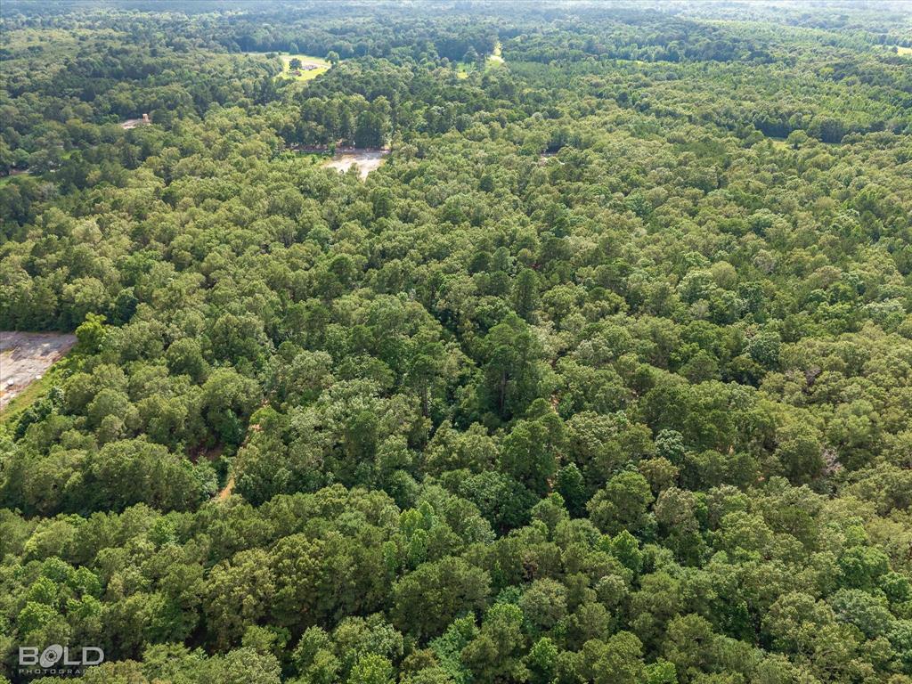 470 Pine Hill Road Elm Grove, LA 71051 - Photo 15 of 21