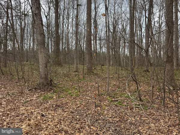$80,000 | Lot 7 Harness Lane, Louisa, VA 23093