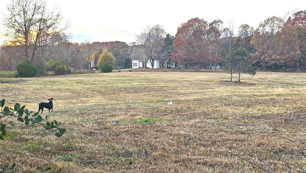 469 Justamere Farm Road Greensboro, NC 27455 - Photo 3 of 30